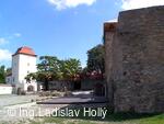 Zřícenina Slezskoostravského hradu, Ostrava