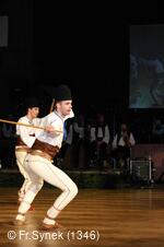 Národní krojový ples